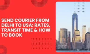 Send Courier from Delhi to USA: Rates, Transit Time & How to Book